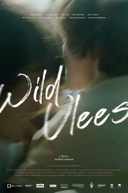 Wild Youth poster