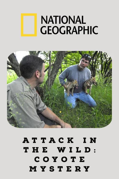 Attack in the Wild: Coyote Mystery poster