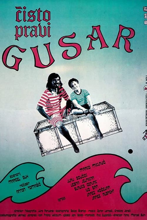 A Real Pirate (1987) poster