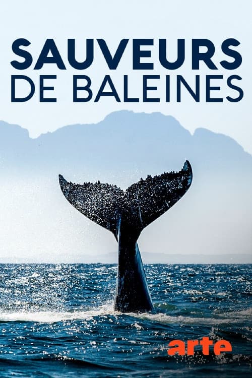 Island Heroes: The Whale Rescuers of Campobello Island (2020) poster