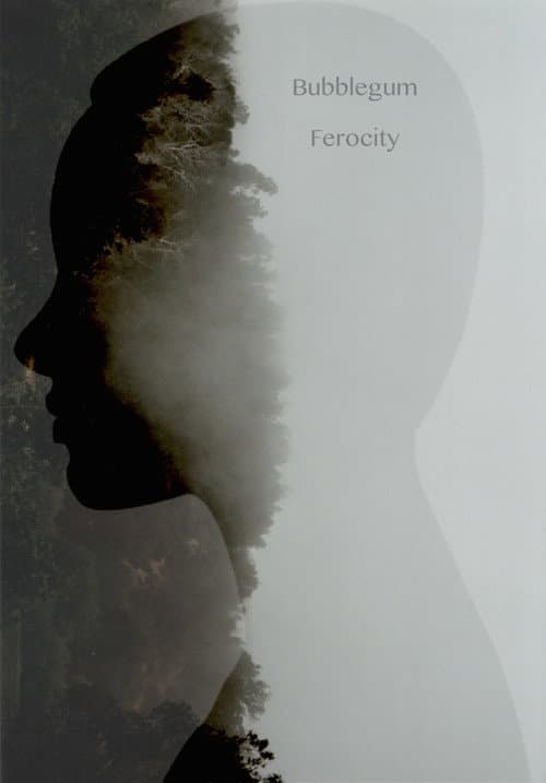 Bubblegum Ferocity poster