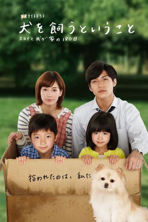 My Dog, My Happiness (2011) poster