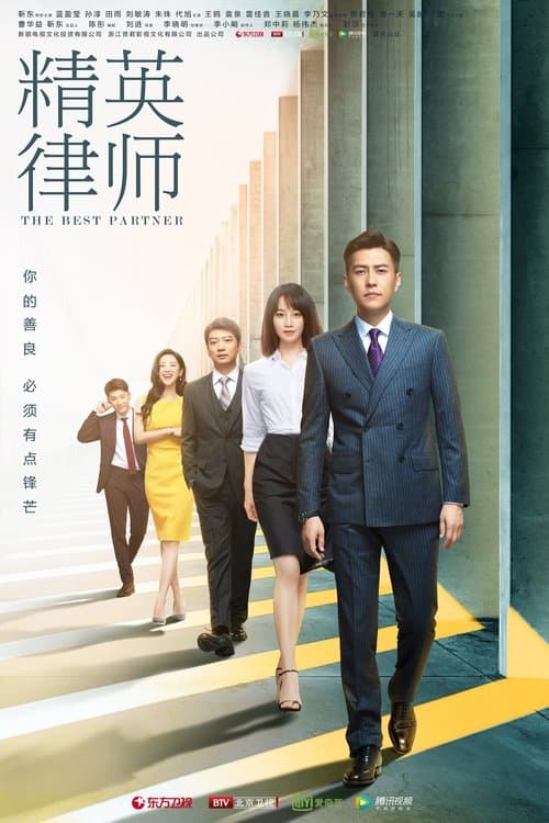 The Best Partner (2019) poster
