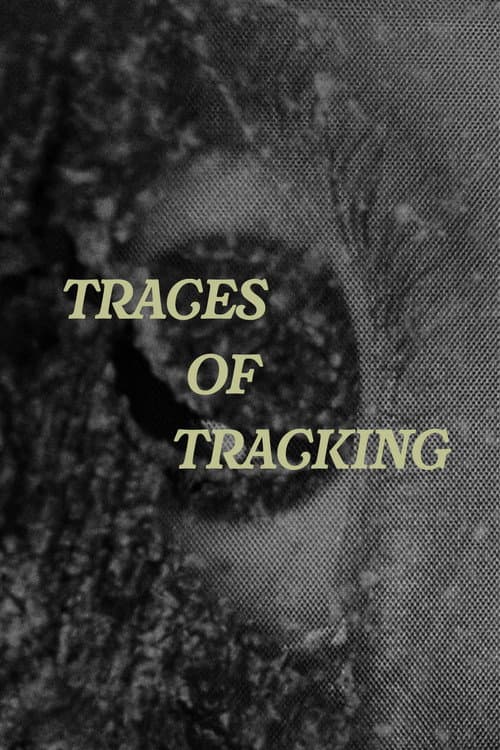 Traces of Tracking poster