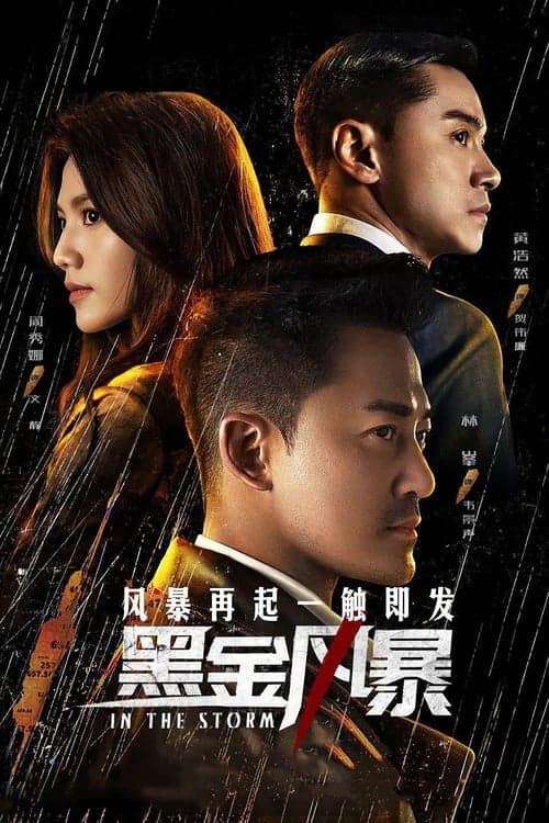 In the Storm (2022) poster