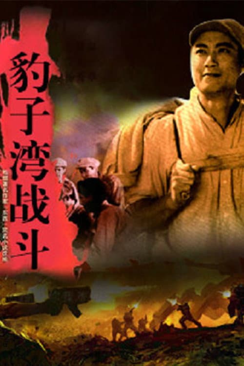 The Fight in Leopard Valley (1978) poster