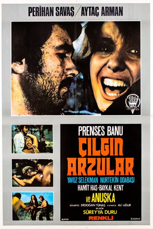 Çılgın Arzular (1974) poster