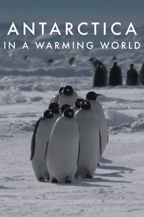 Antarctica in a Warming World poster