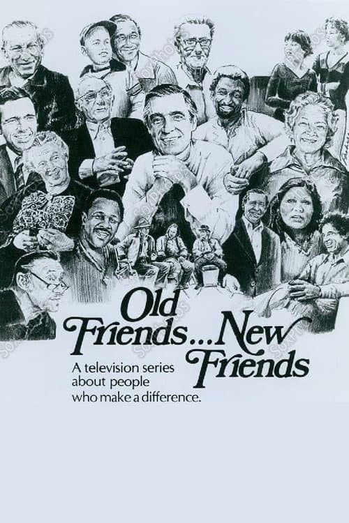 Old Friends... New Friends (1978) poster