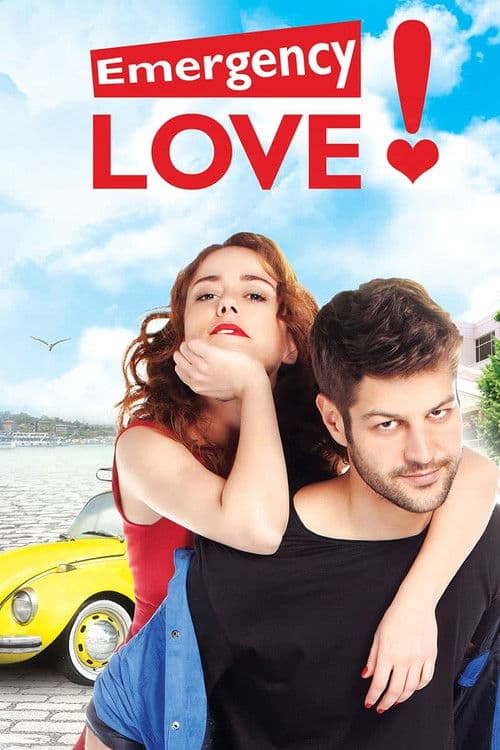 Emergency Love (2015) poster