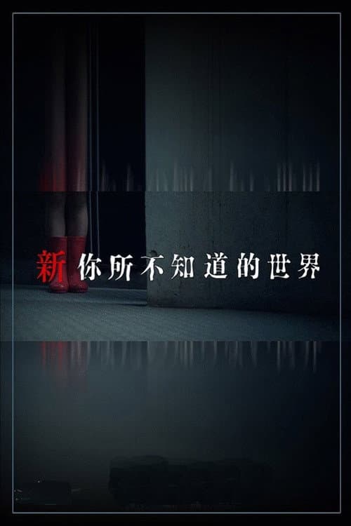 Another World You Don't Know About (2011) poster