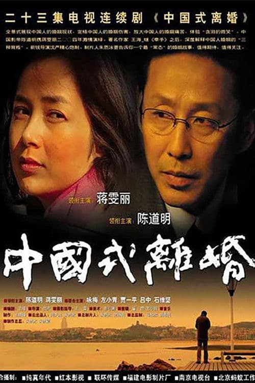 Chinese Style Divorce (2004) poster