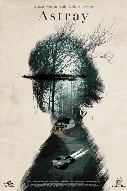 Astray (2025) poster