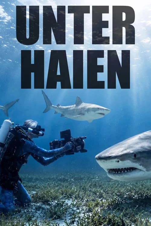 Among Sharks poster