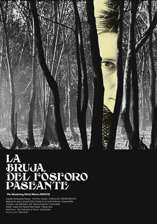 The Wandering Witch (2018) poster