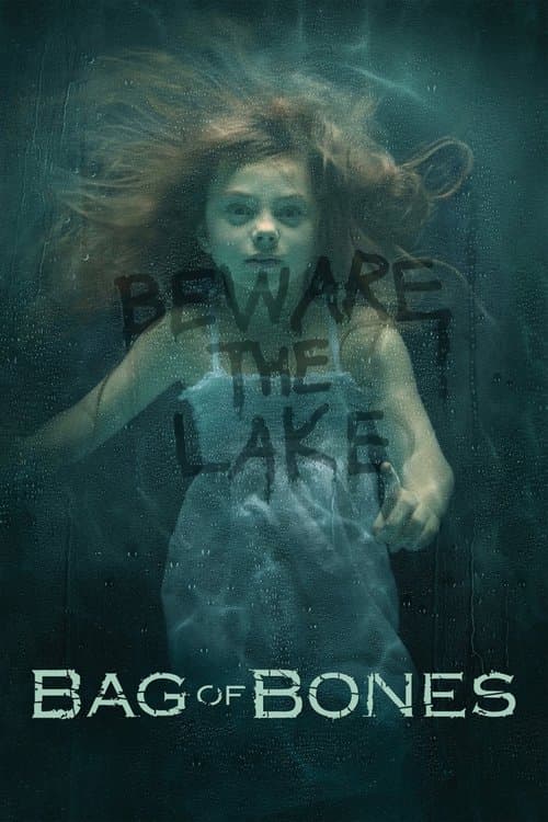 Bag of Bones (2011) poster