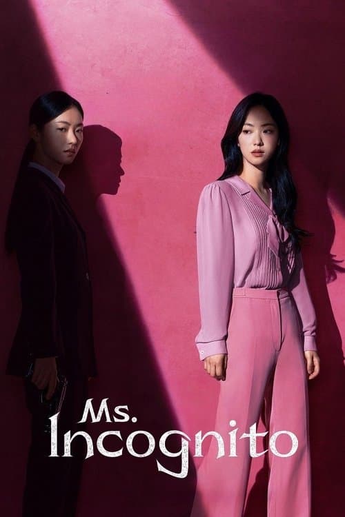 Ms. Incognito (2025) poster