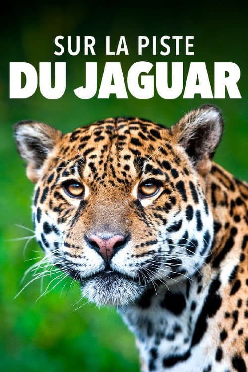 Jaguar: Jungle Icon of Guyana poster