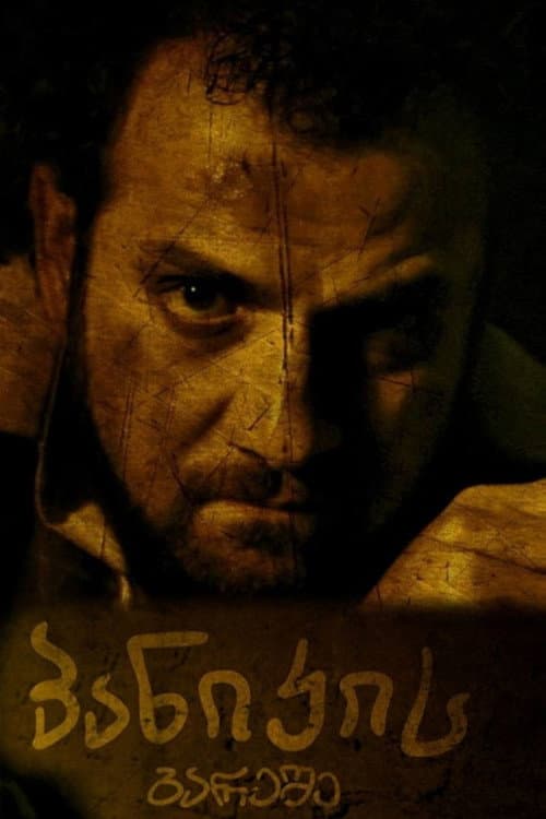 Without panic (2013) poster
