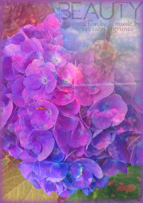 BEAUTY (2018) poster