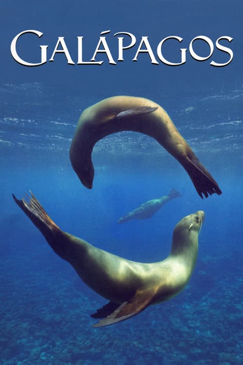 Galapagos (2006) poster