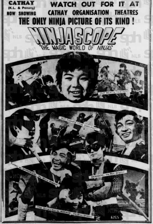 Ninjascope: The Magic World of Ninjas (1968) poster