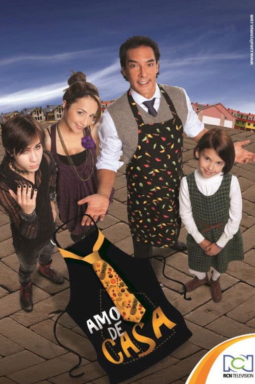 Amo de Casa (2013) poster