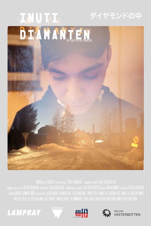 Inside the Diamond (2020) poster