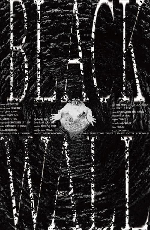 Black Wall (2024) poster