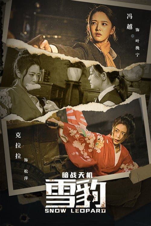 Snow Leopard Secret War (2021) poster