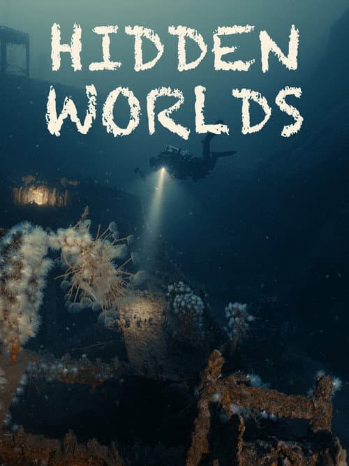 Hidden Worlds poster