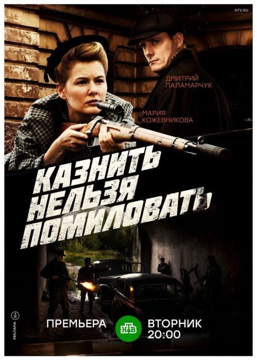 Казнить нельзя помиловать (2017) poster