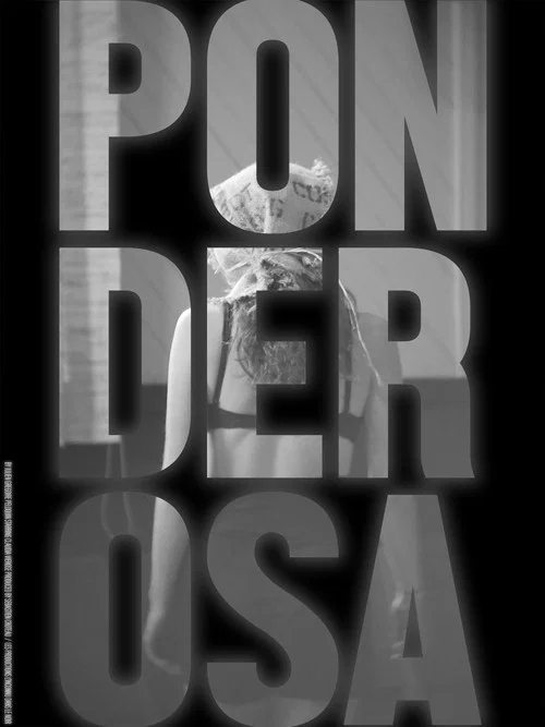 Ponderosa poster