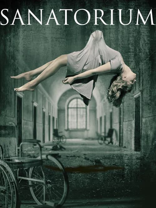 Sanatorium (2013) poster