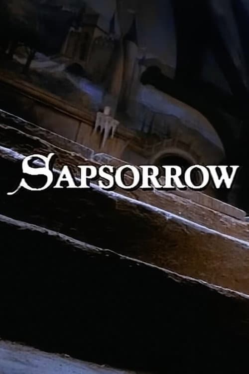 The Storyteller: Sapsorrow (1988) poster