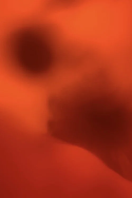 Love is Tinged with Red poster