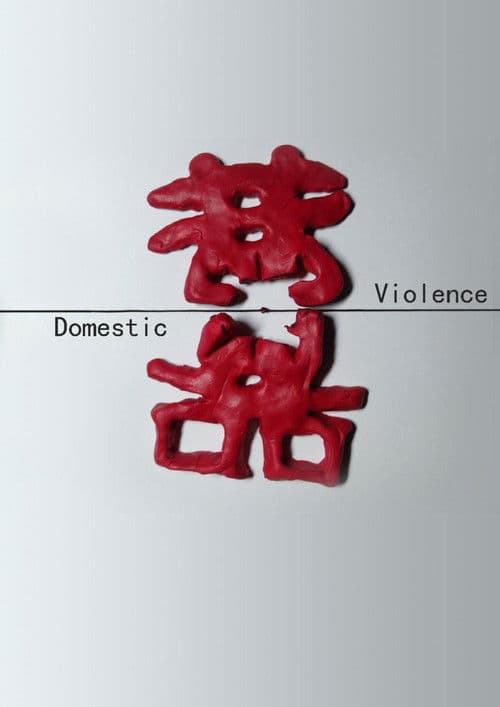 中国反家暴纪事 (2014) poster