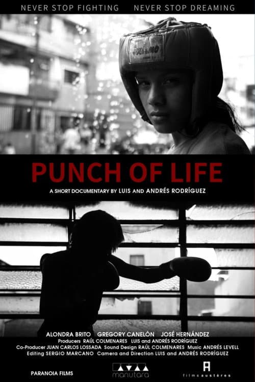 Punch of Life (2021) poster