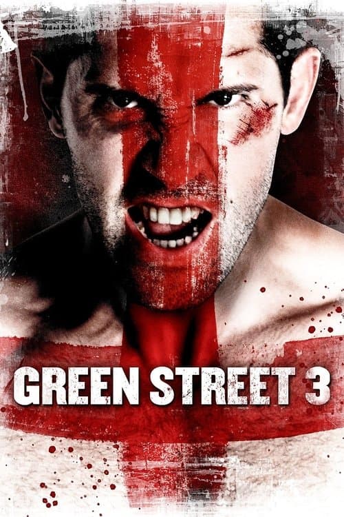 Green Street 3: Never Back Down (2013) poster