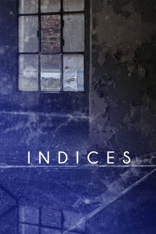 Indices (2008) poster