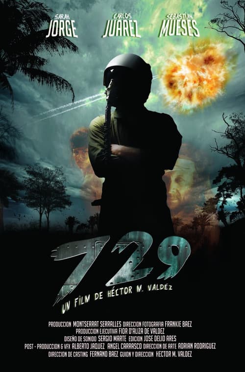 #729 (2011) poster