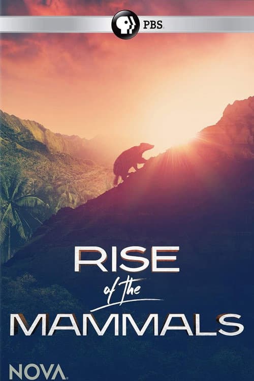 Rise of the Mammals poster