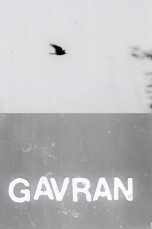 The Raven poster