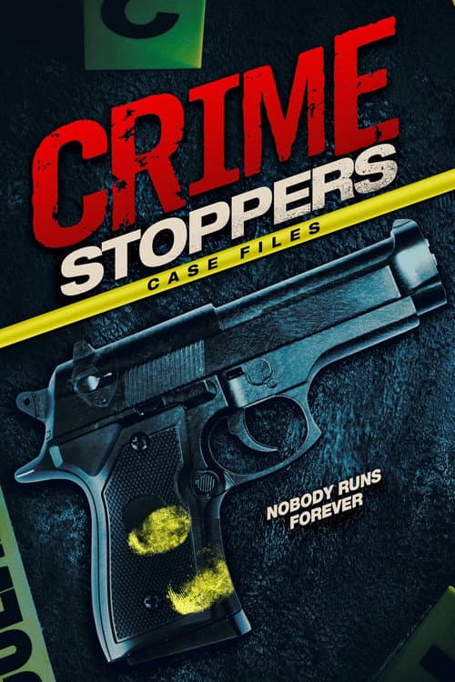 Crime Stoppers: Case Files (2009) poster
