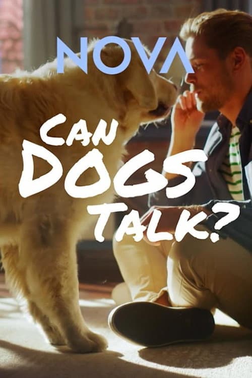 Can Dogs Talk? poster