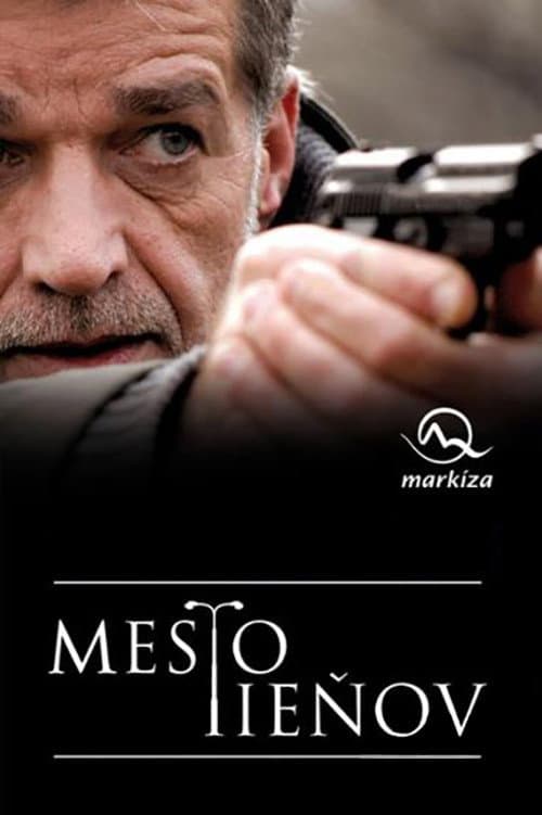 The City of Shadows (2008) poster