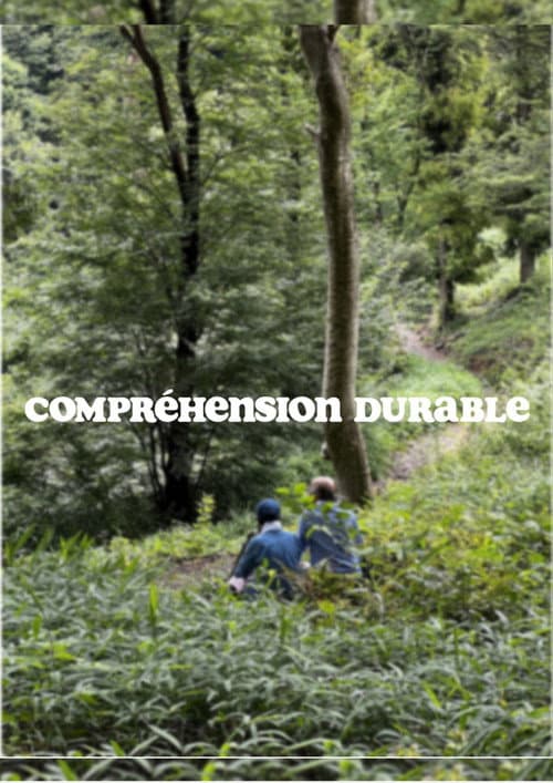 Compréhension Durable poster