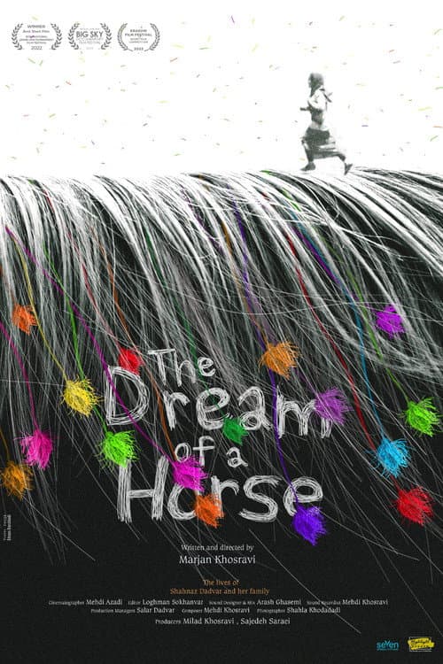 The Dream of a Horse poster