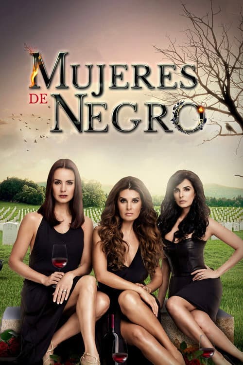 Mujeres de Negro (2016) poster