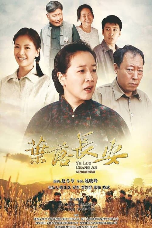 叶落长安 (2011) poster